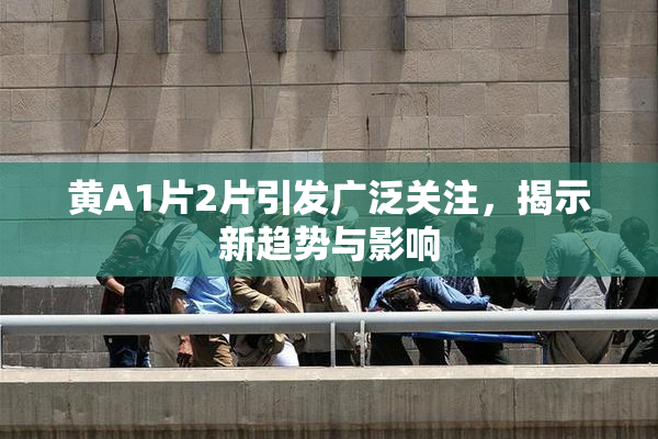 黄A1片2片引发广泛关注，揭示新趋势与影响