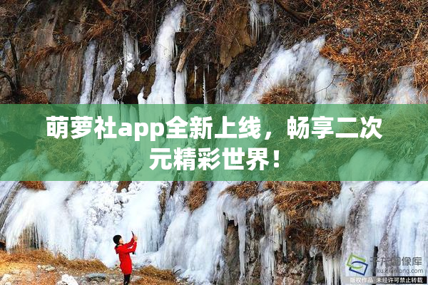 萌萝社app全新上线，畅享二次元精彩世界！