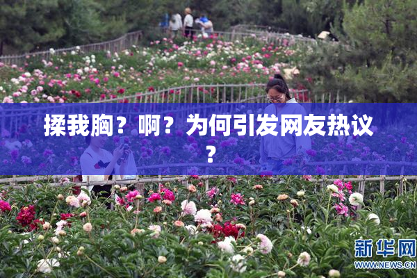 揉我胸？啊？为何引发网友热议？