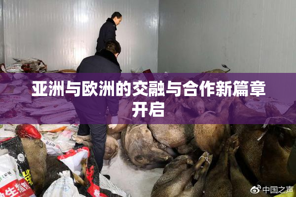 亚洲与欧洲的交融与合作新篇章开启