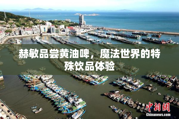 赫敏品尝黄油啤，魔法世界的特殊饮品体验