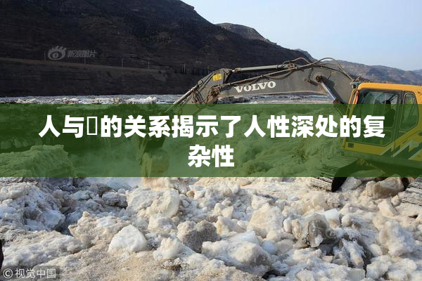 人与嘼的关系揭示了人性深处的复杂性