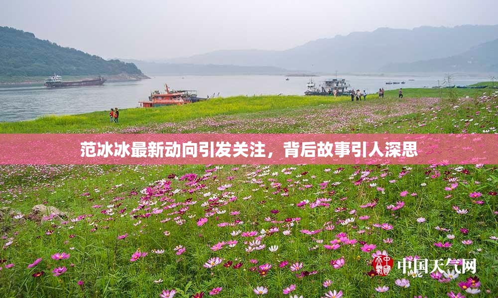 范冰冰最新动向引发关注，背后故事引人深思