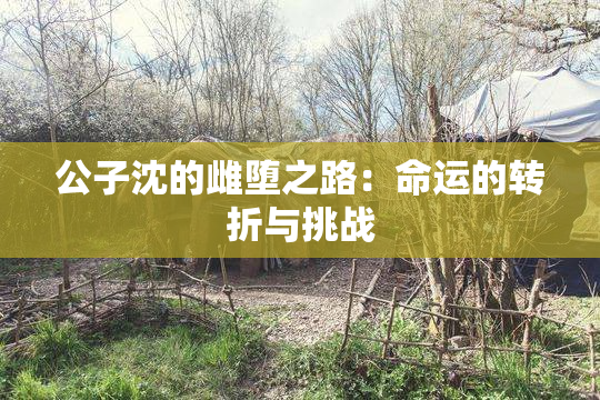 公子沈的雌堕之路：命运的转折与挑战