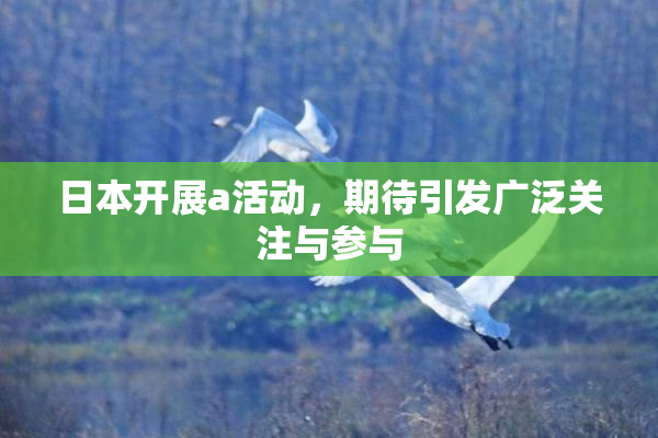 日本开展a活动，期待引发广泛关注与参与