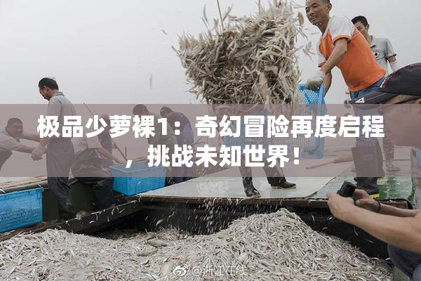 极品少萝裸1：奇幻冒险再度启程，挑战未知世界！