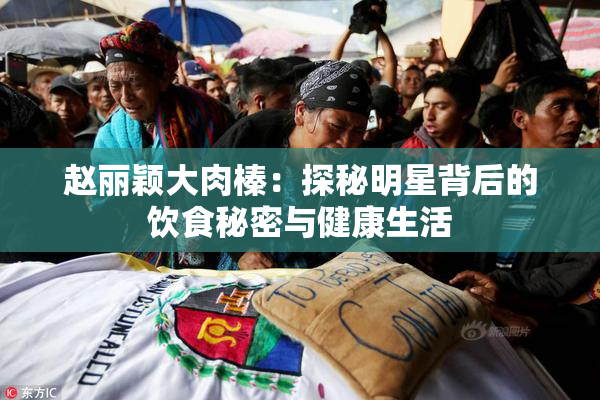 赵丽颖大肉榛：探秘明星背后的饮食秘密与健康生活