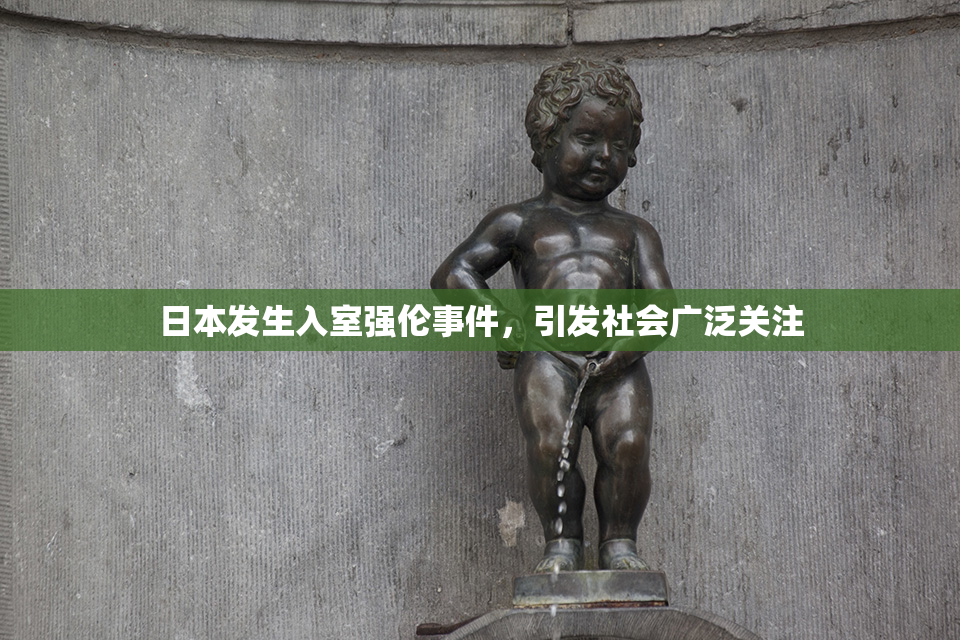 日本发生入室强伦事件，引发社会广泛关注