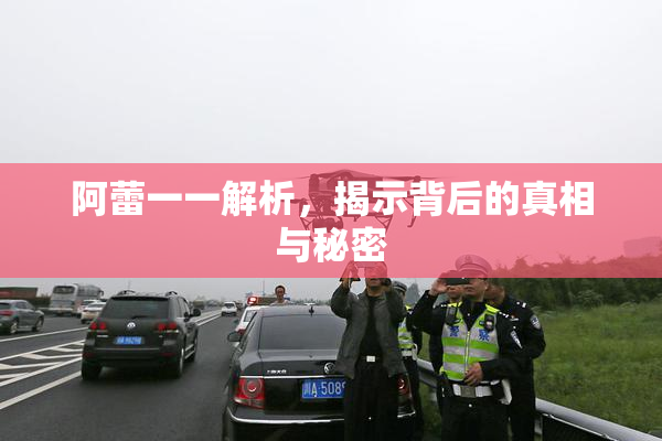 阿蕾一一解析，揭示背后的真相与秘密