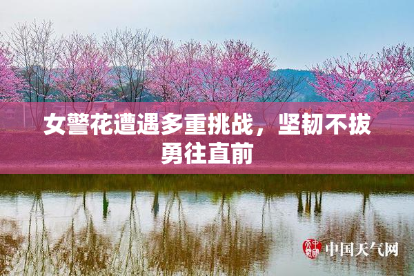 女警花遭遇多重挑战，坚韧不拔勇往直前