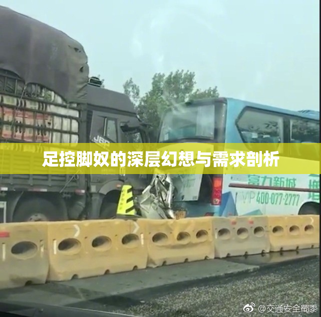 足控脚奴的深层幻想与需求剖析