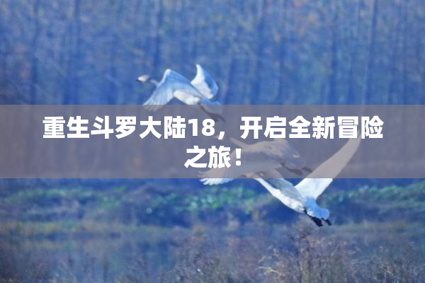 重生斗罗大陆18，开启全新冒险之旅！