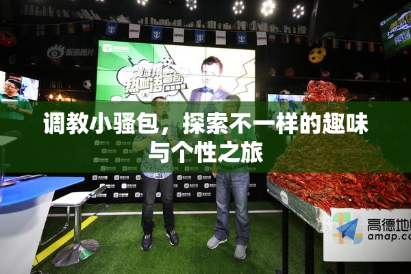 调教小骚包，探索不一样的趣味与个性之旅