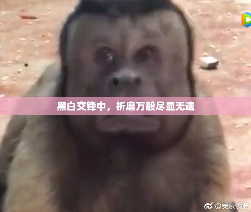 黑白交锋中，折磨万般尽显无遗