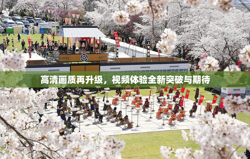 高清画质再升级，视频体验全新突破与期待