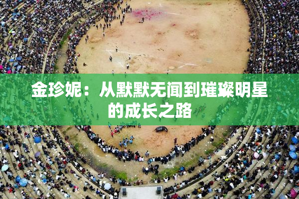 金珍妮：从默默无闻到璀璨明星的成长之路