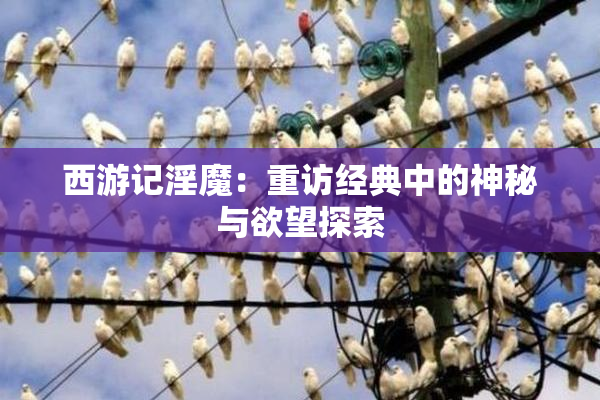 西游记淫魔：重访经典中的神秘与欲望探索