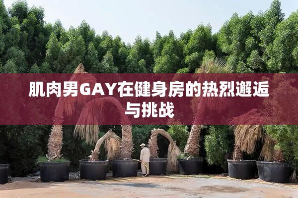 肌肉男GAY在健身房的热烈邂逅与挑战