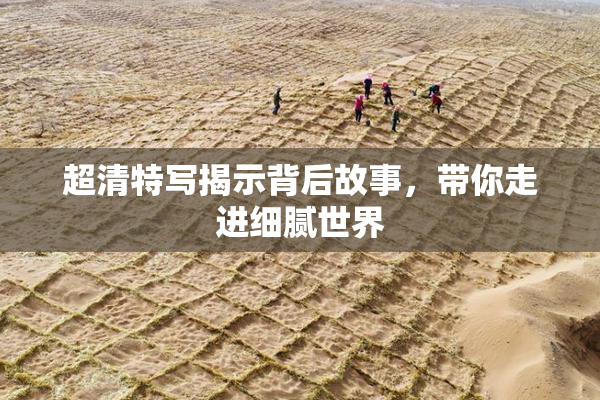 超清特写揭示背后故事，带你走进细腻世界