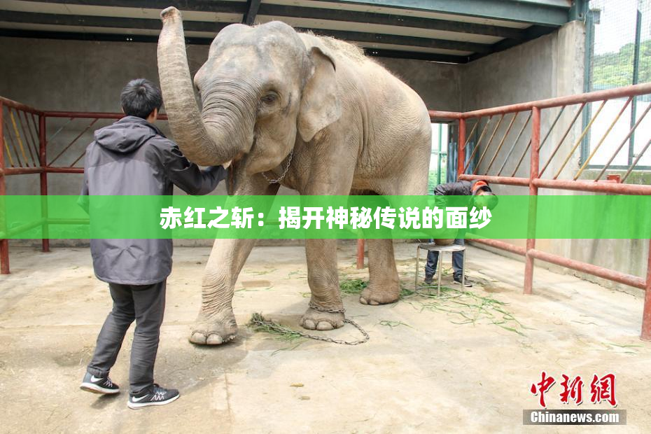 赤红之斩：揭开神秘传说的面纱
