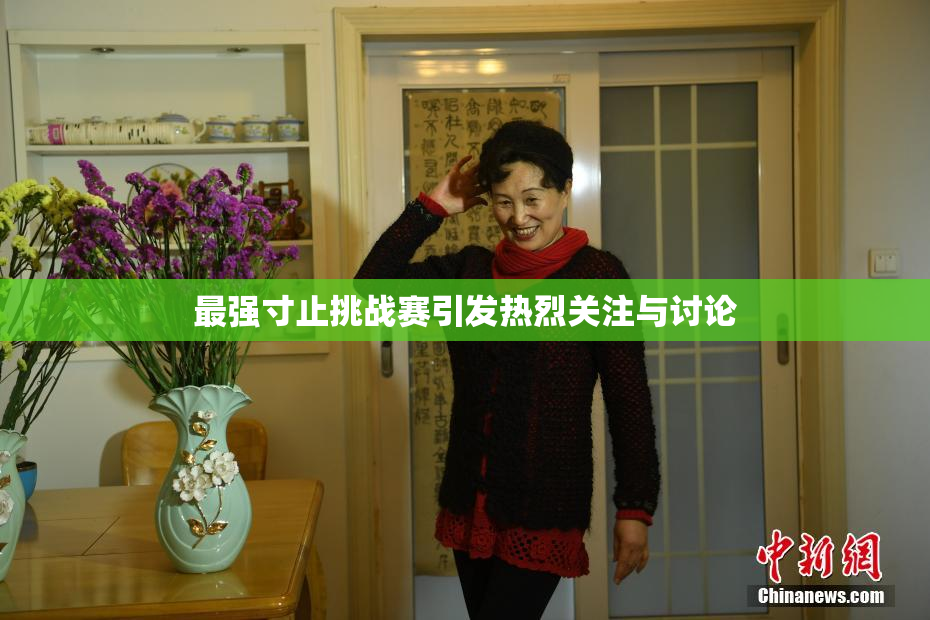 最强寸止挑战赛引发热烈关注与讨论