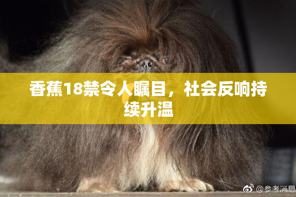 香蕉18禁令人瞩目，社会反响持续升温
