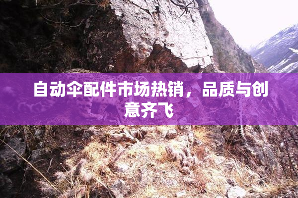 自动伞配件市场热销，品质与创意齐飞