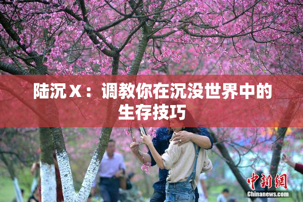陆沉Ⅹ：调教你在沉没世界中的生存技巧