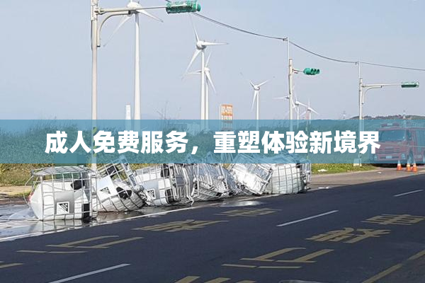 成人免费服务，重塑体验新境界