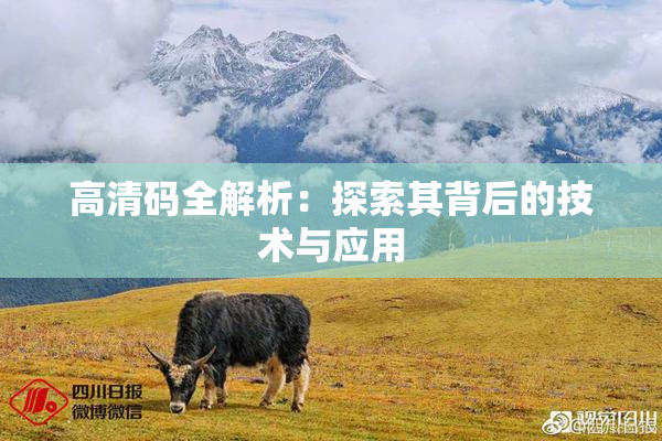 高清码全解析：探索其背后的技术与应用