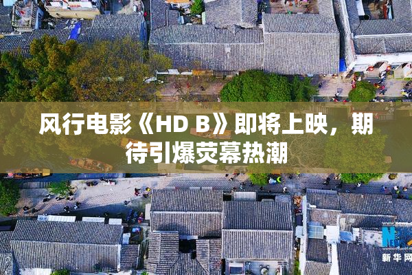 风行电影《HD B》即将上映，期待引爆荧幕热潮