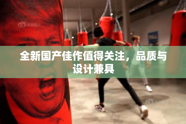 全新国产佳作值得关注，品质与设计兼具