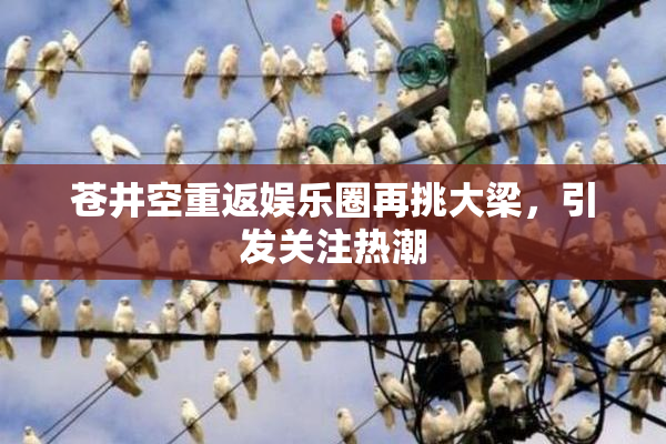 苍井空重返娱乐圈再挑大梁，引发关注热潮