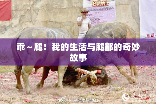 乖～腿！我的生活与腿部的奇妙故事