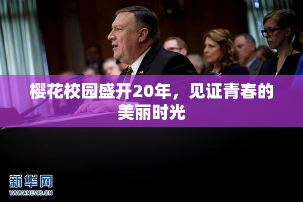 樱花校园盛开20年，见证青春的美丽时光
