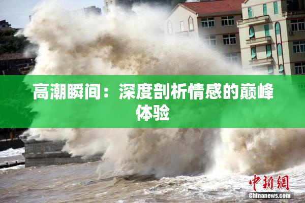 高潮瞬间：深度剖析情感的巅峰体验