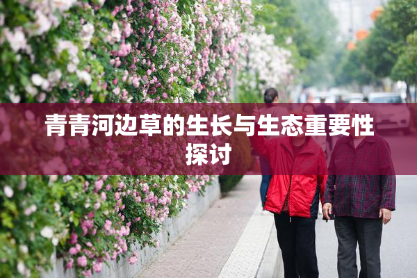 青青河边草的生长与生态重要性探讨