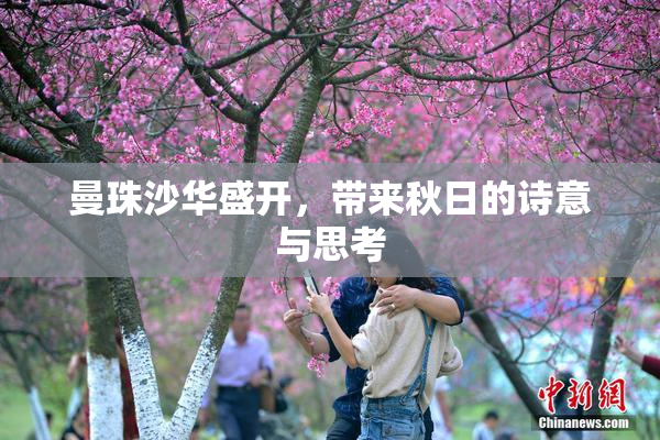 曼珠沙华盛开，带来秋日的诗意与思考