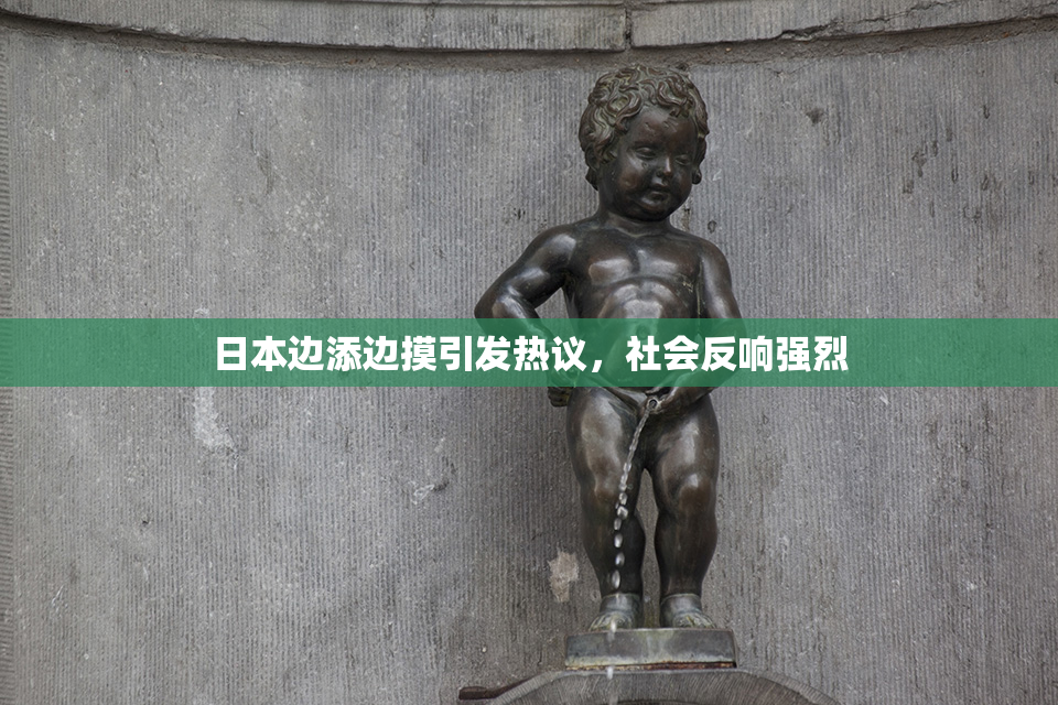 日本边添边摸引发热议，社会反响强烈
