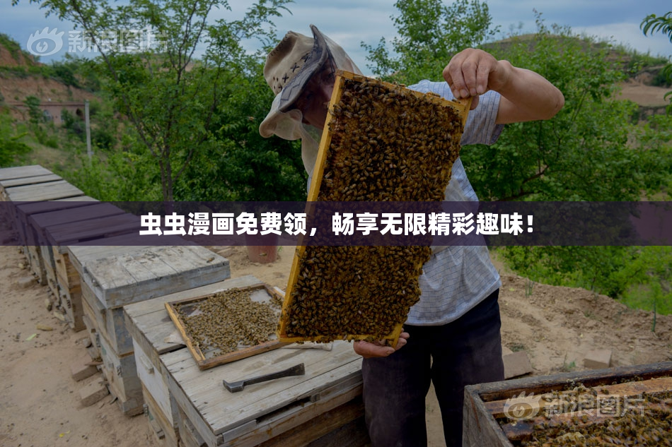 虫虫漫画免费领，畅享无限精彩趣味！