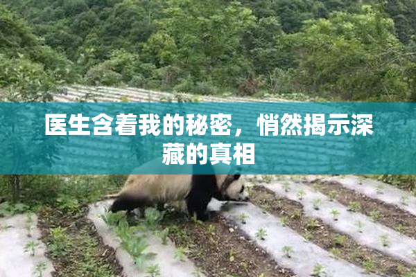 医生含着我的秘密，悄然揭示深藏的真相