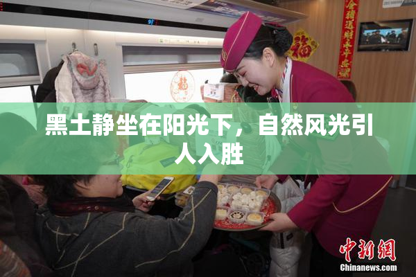 黑土静坐在阳光下，自然风光引人入胜