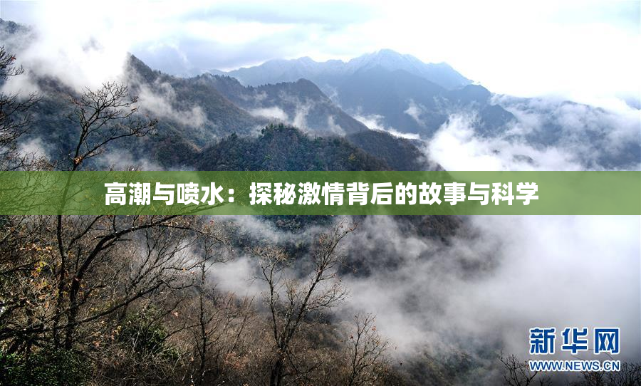 高潮与喷水：探秘激情背后的故事与科学