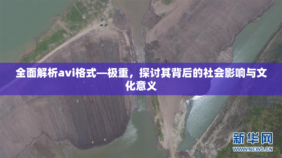 全面解析avi格式―极重，探讨其背后的社会影响与文化意义