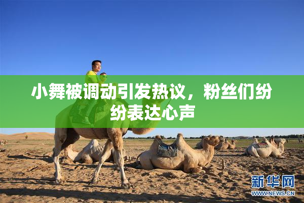 小舞被调动引发热议，粉丝们纷纷表达心声