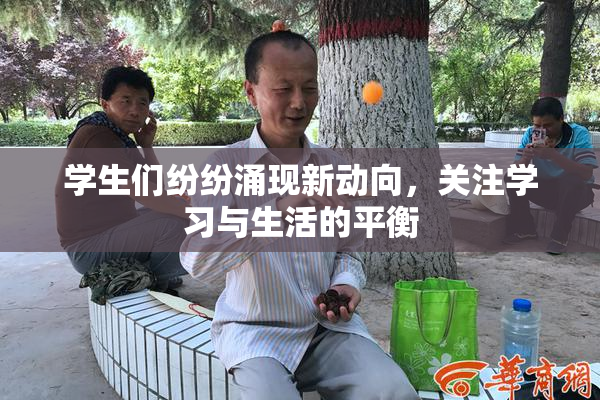 学生们纷纷涌现新动向，关注学习与生活的平衡