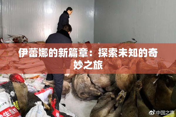 伊蕾娜的新篇章：探索未知的奇妙之旅