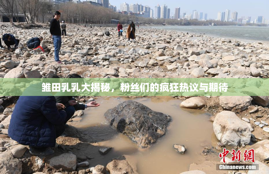雏田乳乳大揭秘，粉丝们的疯狂热议与期待