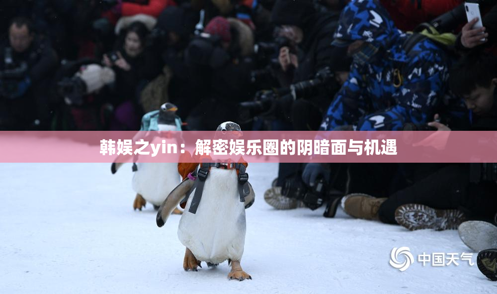 韩娱之yin：解密娱乐圈的阴暗面与机遇
