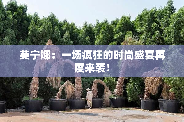 芙宁娜：一场疯狂的时尚盛宴再度来袭！
